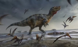 Hóa thạch khủng long mặt cá sấu dài hơn 10 m