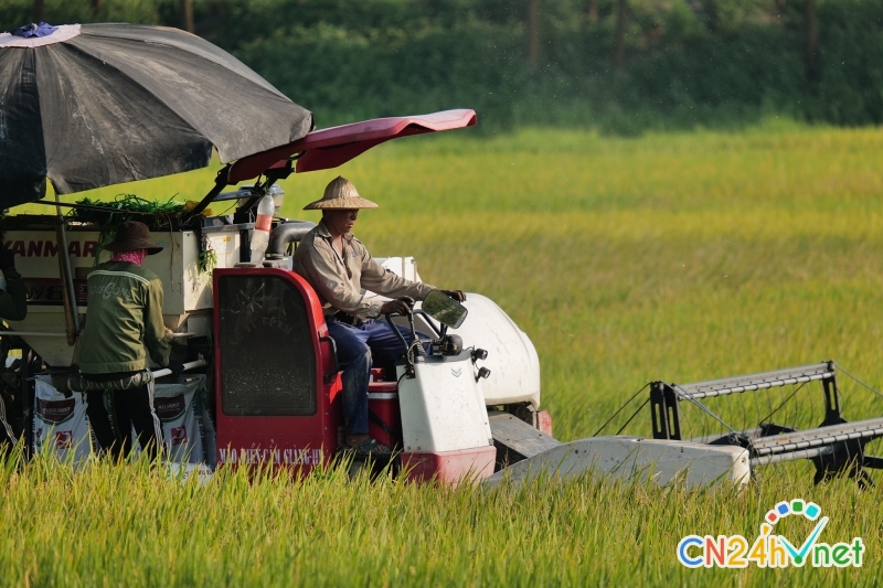 khoa hoc cong nghe dong gop tren 30  gia tri gia tang trong nong nghiep