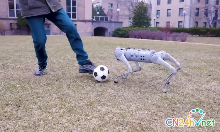robot cho choi bong thanh thao