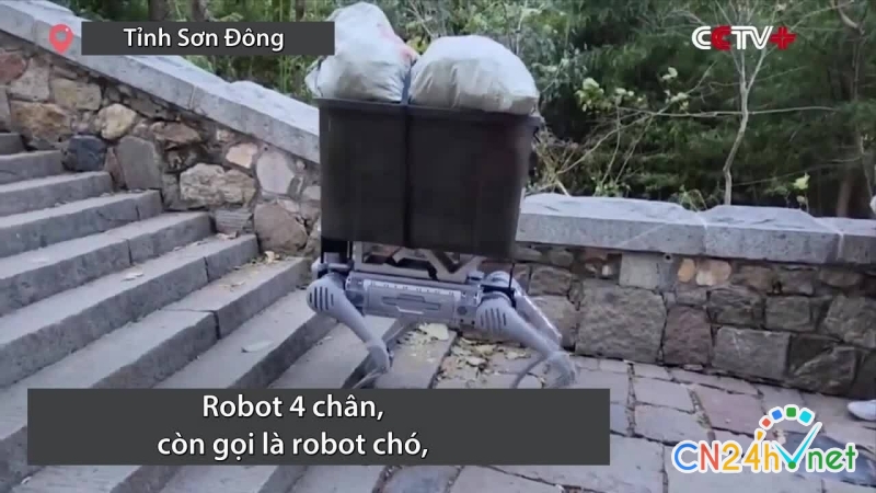 robot cho leo bac thang de don rac tren nui